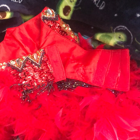 Gently worn custom made showgirl/carnival costume - Picture 11 of 14